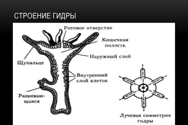 Кракен дарк шоп