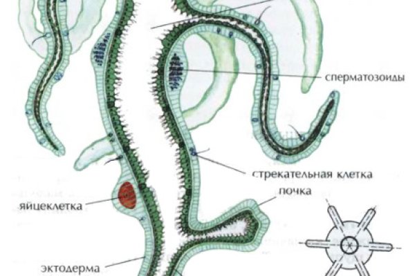 Кракен магазин наркотиков