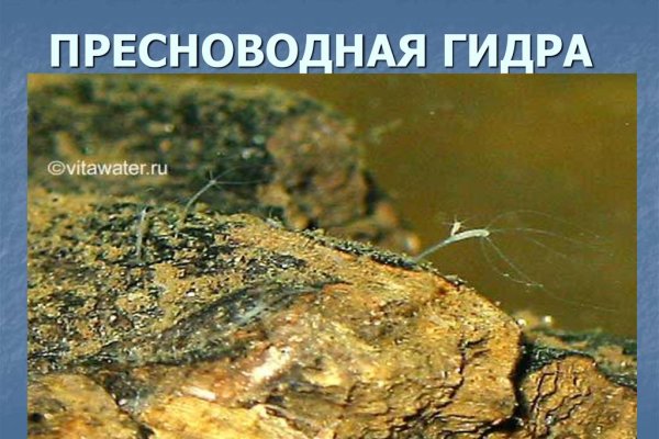 Кракен это современный даркнет маркетплейс