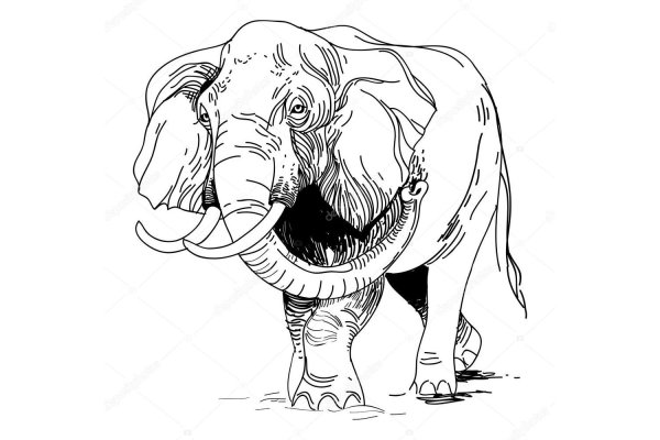 Kraken tor