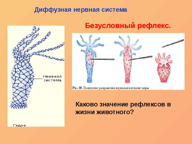 Кракен черный сайт