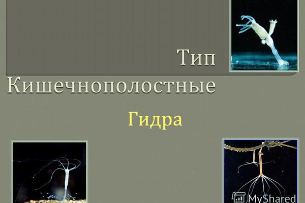 Кракен торговая площадка даркнет